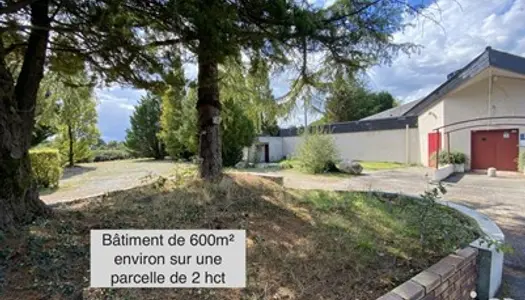 Immeuble 3 pièces 596 m²