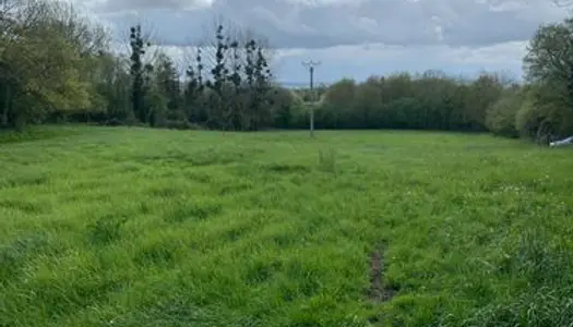 Location herbage 1 hectares avec eau