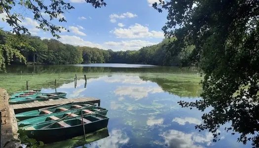 Dpt (88), à vendre DOMAINE / PROPRIETE de + 27 Ha avec RESTAURANT, 3 ETANGS et FORET 