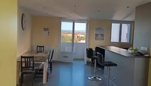 Appartement rénové 61 m2 