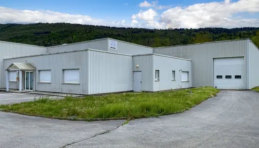 Dpt Ain (01), à vendre LAVANCIA EPERCY Bâtiment industriel - 1000 m2 - 3450 m2 de terrain 