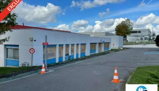 Local commercial 12339 m²