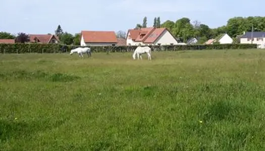 Terrain clos de 6000 m2 pour equidé 