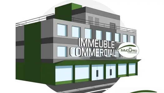 Immeuble 1016 m² 