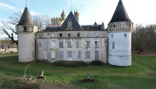 Château 23 pièces 870 m²