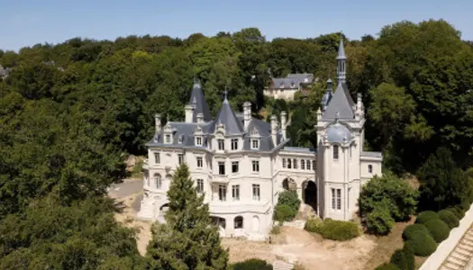 Château 46 pièces 1300 m² 