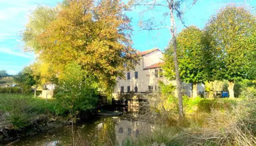 Moulin à eau à vendre à ROCHESERVIERE 85620. Terrain de plus de 4 000m2, surface habitable totale