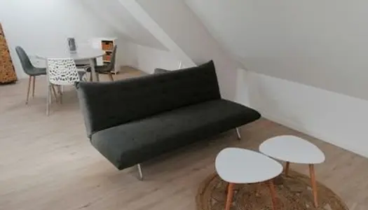 Appartement type 2 meublé Villeneuve saint Germain 
