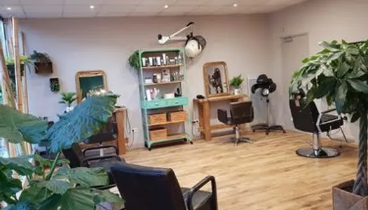Salon de coiffure Vierzon 