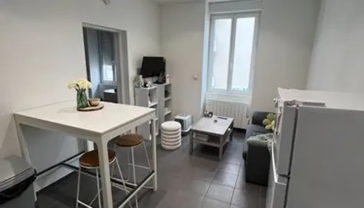 Appartement T2 rénové 