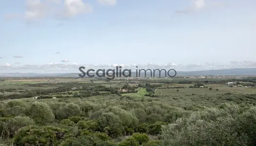 Vente Terrain agricole à Sassari 460 000 €