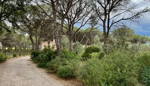 Un havre de paix près de Perpignan. 