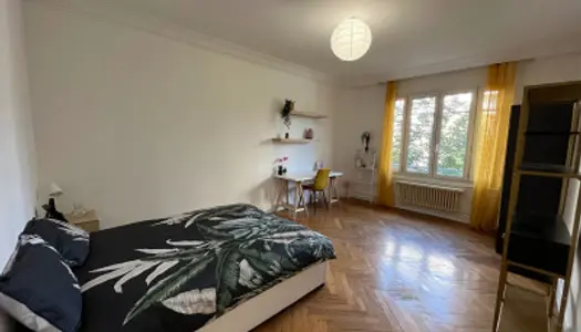 Appartement 5 pièces 120 m² 