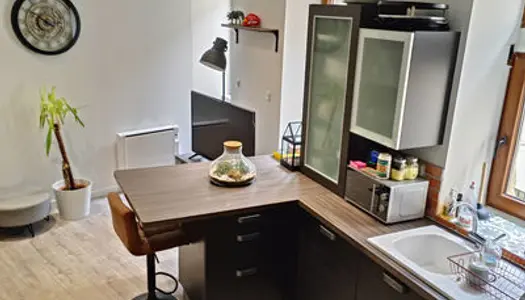 Serrières, appartement sur 3 niveaux 