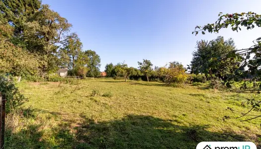 Vente Terrain 908 m² à Abbeville 35 000 €