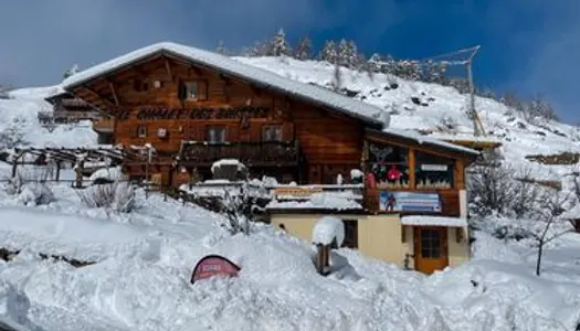 Très grand CHALET proche VALBERG