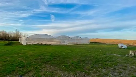 Beaumont de lomagne : terrain agricole - serres - hangar