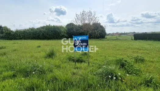 Terrain Vente Crécy-sur-Serre  1148m² 23000€