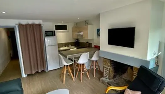 Appartement rénové 