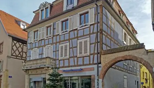 Location Appartement hyper centre Colmar 