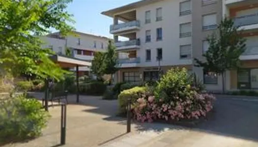 Quint-Fonsegrives Appartement T2 avec magnifique terrasse et parking