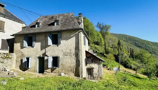 Maison de village de montagne 09200 