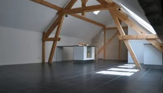 Loue appartement loft avec double garage à Turckheim 