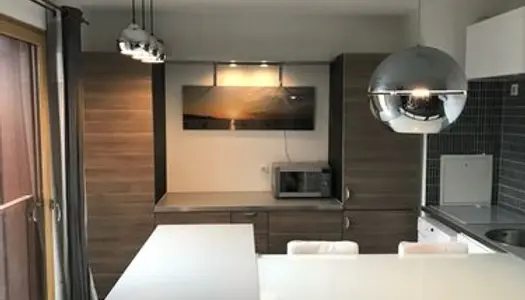 Superbe 2 pièces Rives de Seine avec terrasse WIFI, TV, elec, cuisine équipée 