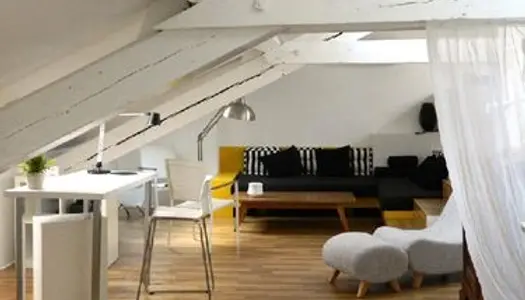 Loft lumineux 60 m2 climatisé 