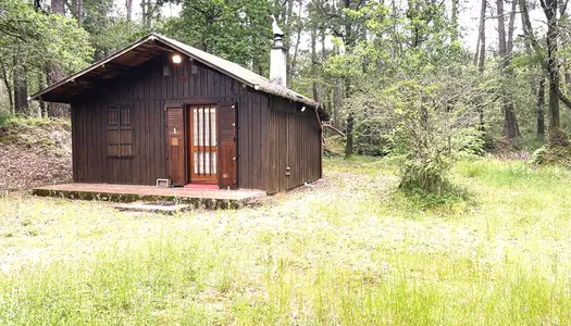 Chalet aménagé en forêt à Brion 