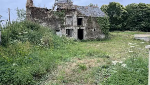 Ruine 570 m²