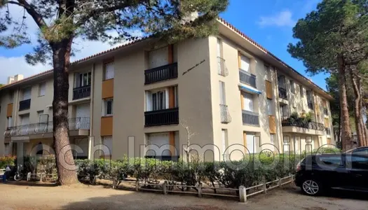 Vente Appartement Argelès-sur-Mer 2