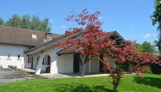 Dpt Jura (39), à vendre proche de LONS LE SAUNIER maison P7 de 175 m² - Terrain de 7000,00 m² 