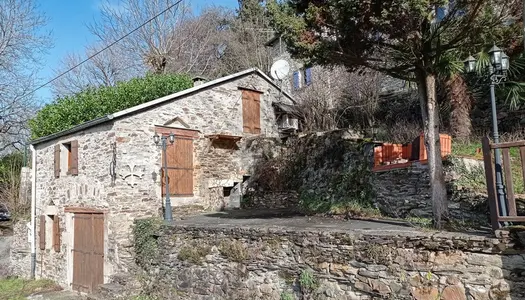 Dpt Tarn (81), à vendre FONTRIEU maison P0