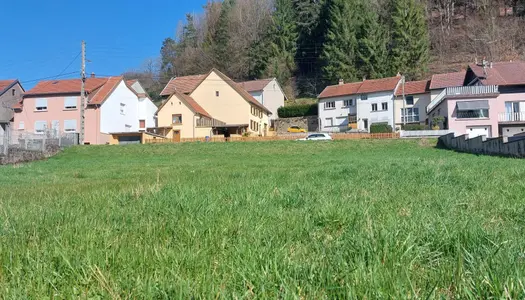 Terrain 1284 m²