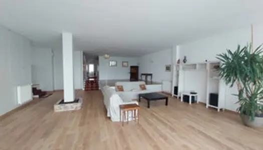 A VENDRE MAGNIFIQUE LOFT FAMILIAL DE 280 M2 AVEC EXTERIEUR D