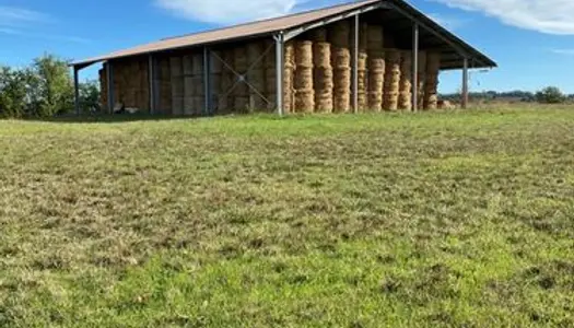 Hangar agricole sur 4,2 hectare