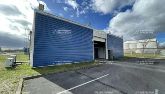 Local commercial 765 m²