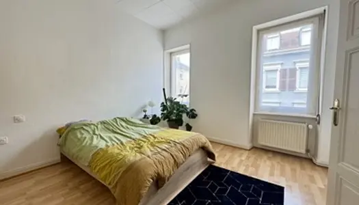 SARREGUEMINES Centre-ville - Appartement type F2 de 51m2 immeuble très calme 