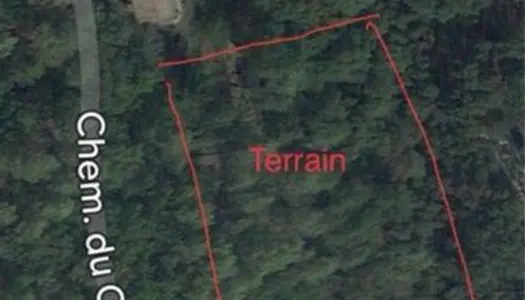 Terrain/ Forêt /Loisir