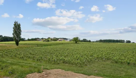 Maison 5 pièces de 130m² à Martillac 