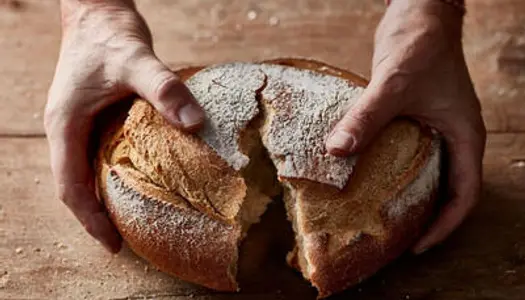 Grande boulangerie à vendre, couronne de Bordeaux