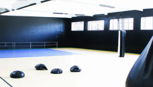Salle de sport de combat à vendre en Suisse