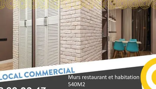 MURS RESTAURANT ET LOGEMENT 533M2