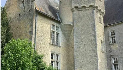 Château pour projets touristiques - Sarthe (72)