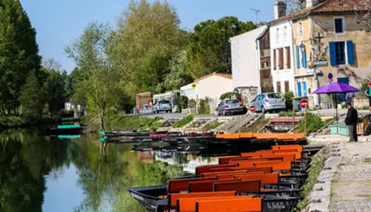 Vente hôtel restaurant *** dans le Marais Poitevin