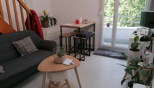 Appartement 1 pièce 24 m² 