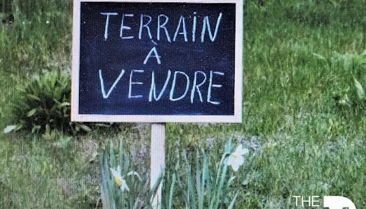 Terrain Vente Chaumes-en-Retz  740m² 117000€